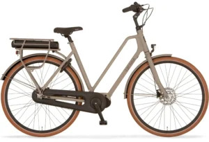 Elektrisches Fahrrad CORTINA E-FOSS
